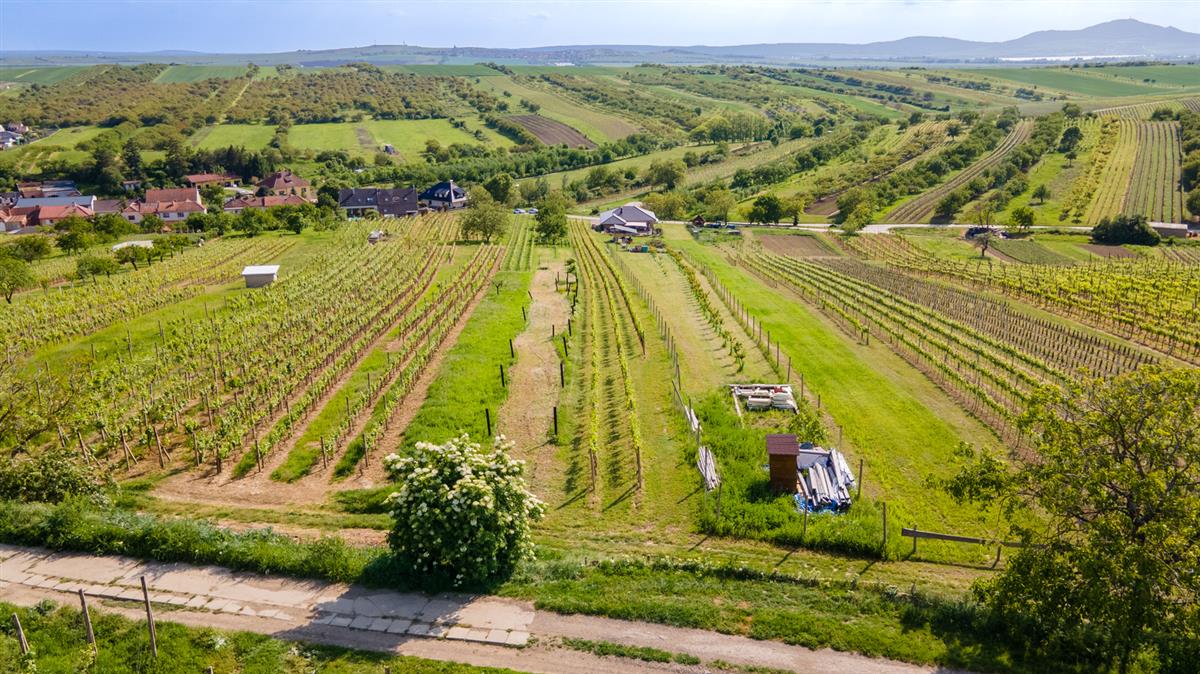 dji-0396-hdr.jpg