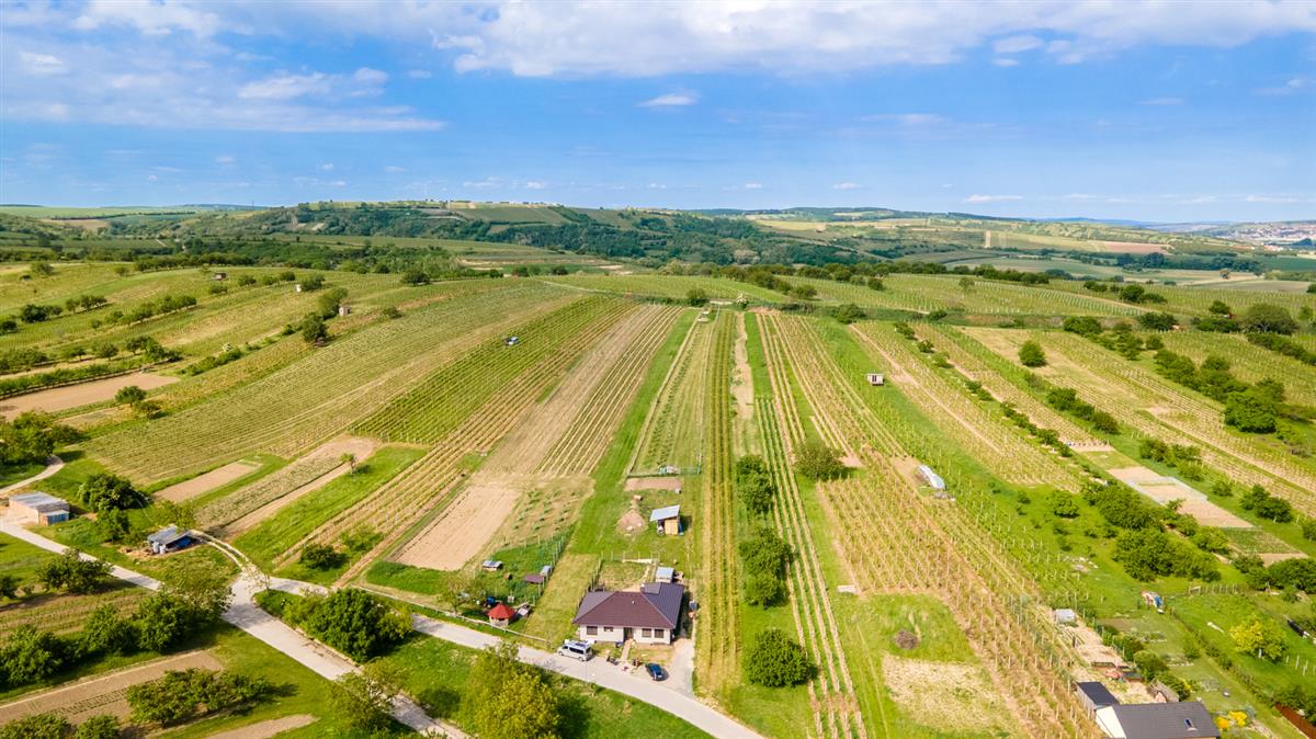 dji-0363-hdr.jpg