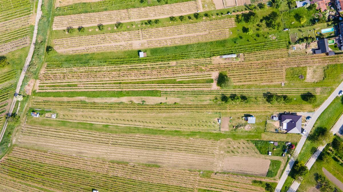 dji-0371-hdr.jpg